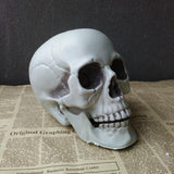 Halloween Decorations Artificial Skull Head Model Plastic Skull Bone Scary Horror Skeleton Party Bar Ornaments Statues - webtekdev