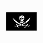 Pirate Flag - webtekdev