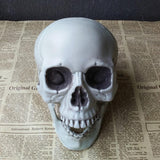 Halloween Decorations Artificial Skull Head Model Plastic Skull Bone Scary Horror Skeleton Party Bar Ornaments Statues - webtekdev