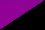 half purple half black flag polyester anarchy banner flags 90x150cm custom any YOUR TEXT - webtekdev