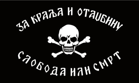 Skull Flag - webtekdev