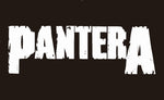 90*150cm  pantera flag - webtekdev