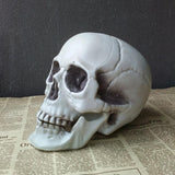 Halloween Decorations Artificial Skull Head Model Plastic Skull Bone Scary Horror Skeleton Party Bar Ornaments Statues - webtekdev