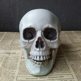 Halloween Decorations Artificial Skull Head Model Plastic Skull Bone Scary Horror Skeleton Party Bar Ornaments Statues - webtekdev